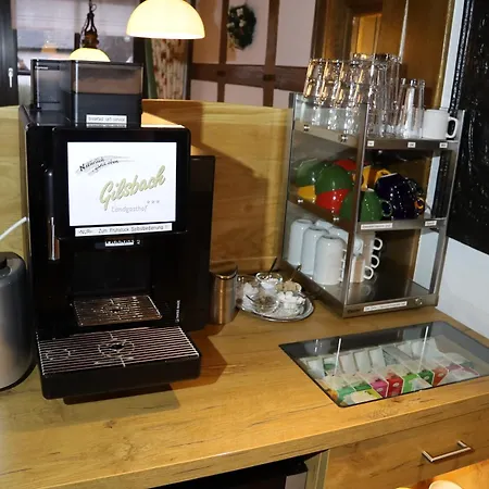 吉尔斯巴赫旅馆 招待所