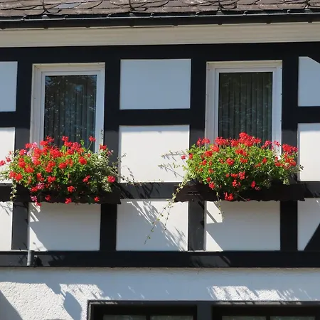 招待所 吉尔斯巴赫旅馆