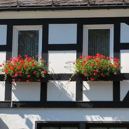 بيت ضيافة Landgasthof Gilsbach