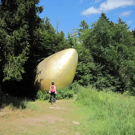 Landgasthof Gilsbach בית הארחה ווינטרברג
