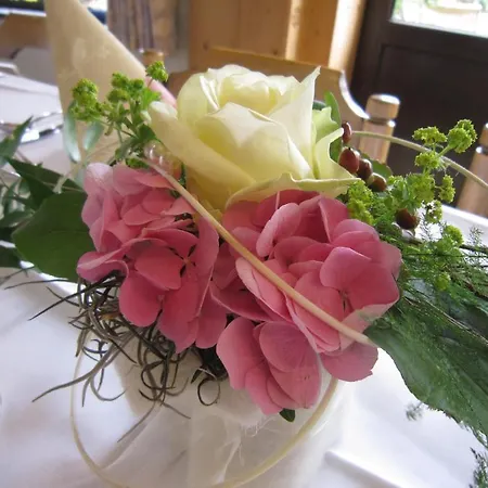 招待所 吉尔斯巴赫旅馆