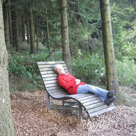 Гостьовий будинок Landgasthof Gilsbach 3*