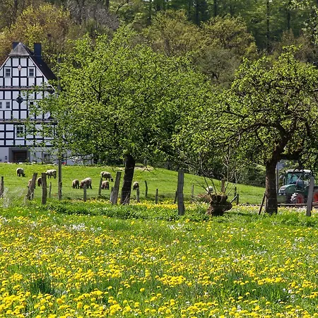 Landgasthof Gilsbach 3*