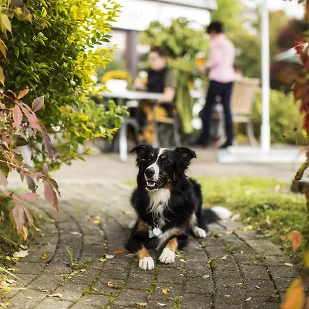 Landgasthof Gilsbach Guest house 3*