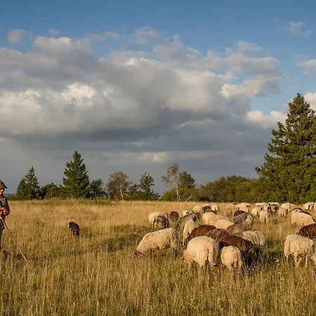 Guest house Landgasthof Gilsbach Winterberg