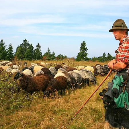 Landgasthof Gilsbach Guest house 3*