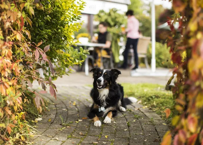 Landgasthof Gilsbach Gasthof 3*