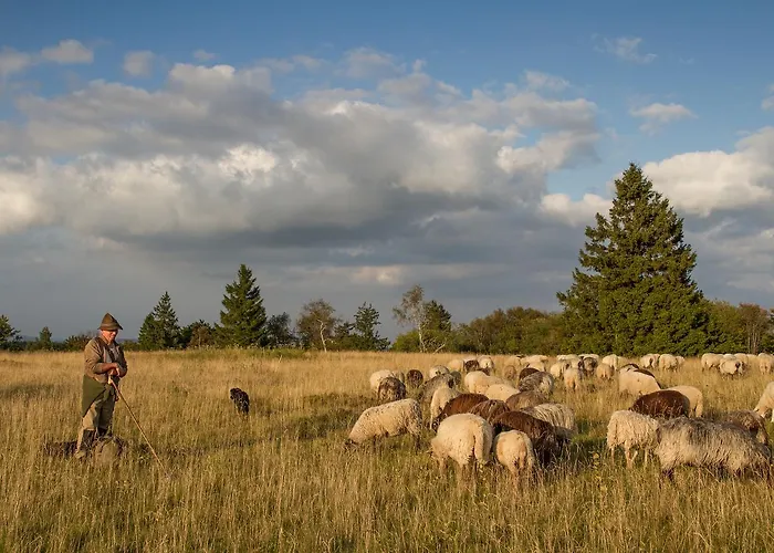 Gasthof Landgasthof Gilsbach Winterberg