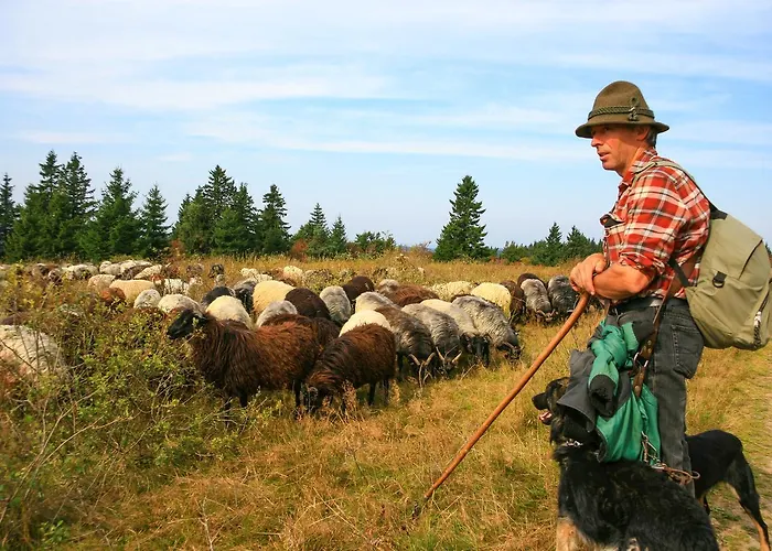 Landgasthof Gilsbach Gasthof 3*